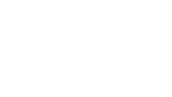 blackhorn offroad logo 
