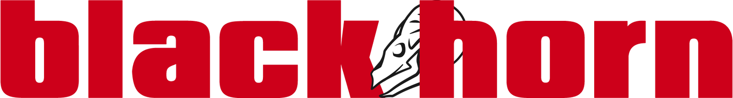 Blackhorn Offroad Logo Letter in Red with Skull in White with Black Stroke