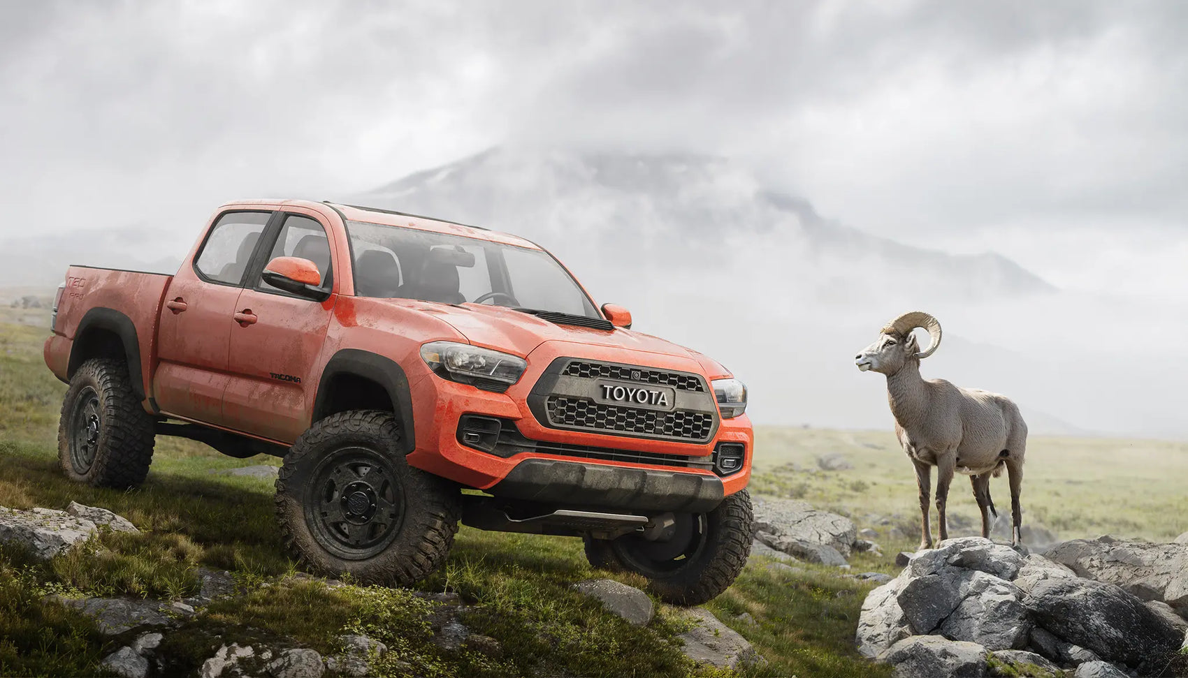 Blackhorn Offroad NS5 Obsidian with BFGoodrich KM3 on Toyota 3rd Gen Tacoma TRD Pro and Bighorn Sheep